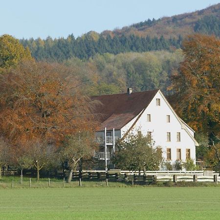 Ferienwohnung An Der Obstwiese Borgholzhausen Экстерьер фото