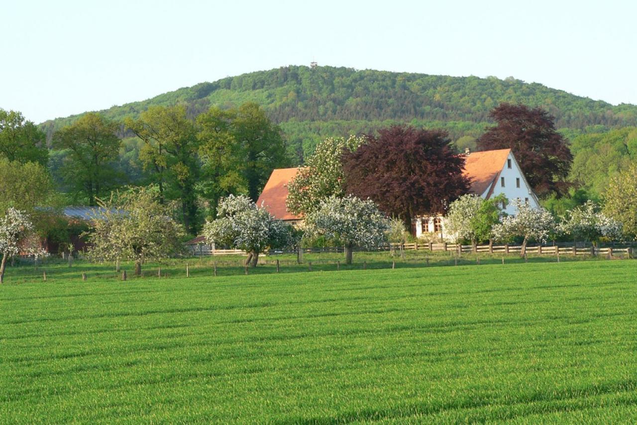Ferienwohnung An Der Obstwiese Borgholzhausen Экстерьер фото