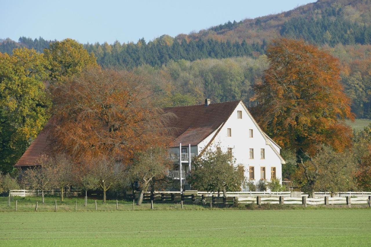 Ferienwohnung An Der Obstwiese Borgholzhausen Экстерьер фото