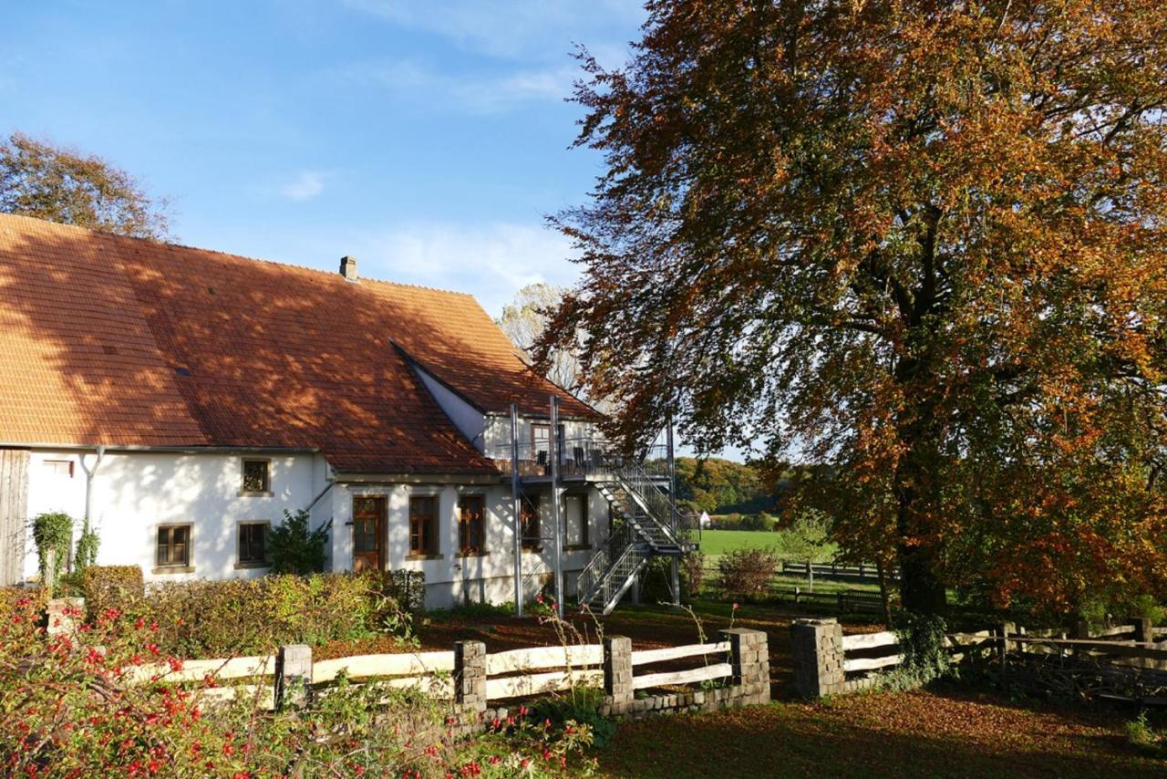 Ferienwohnung An Der Obstwiese Borgholzhausen Экстерьер фото